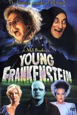 Watch Young Frankenstein Megashare