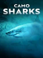 Watch Camo Sharks Megashare
