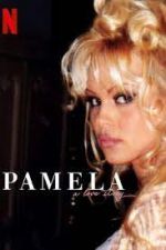 Watch Pamela, a Love Story Megashare