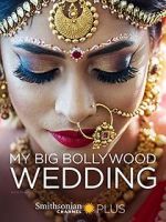 Watch My Big Bollywood Wedding Megashare