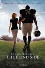 Watch The Blind Side Megashare