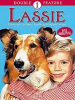 Watch Lassie: A New Beginning Megashare