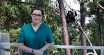 Watch Sue Perkins and the Chimp Sanctuary Megashare