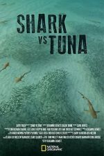 Watch Shark vs Tuna Megashare