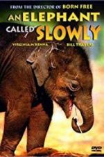 Watch An Elephant Called Slowly Megashare