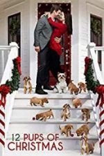Watch 12 Pups of Christmas Megashare
