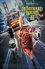Watch Homeward Bound II: Lost in San Francisco Megashare