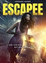 Watch The Escapee Online Megashare