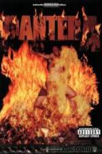 Watch Pantera: Reinventing Hell Tour Megashare