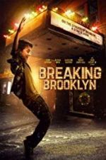 Watch Breaking Brooklyn Megashare
