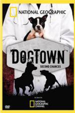 Watch National Geographic DogTown Megashare