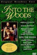 Watch Into the Woods Megashare