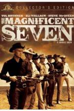 Watch The Magnificent Seven Megashare