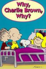 Watch Why Charlie Brown Why Megashare
