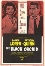 Watch The Black Orchid Megashare