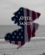 Watch After Sandy Megashare