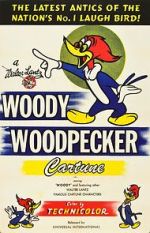 Watch The Woody Woodpecker Polka Megashare