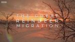 Watch All Aboard! The Great Reindeer Migration Megashare
