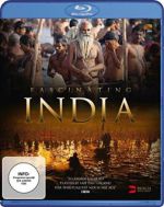 Watch Fascinating India 3D Megashare