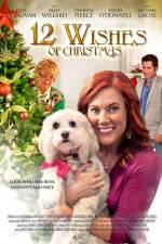 Watch 12 Wishes of Christmas Megashare