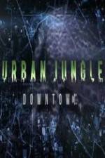 Watch National Geographic Wild Urban Jungle Downtown Megashare
