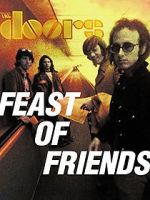 Watch Feast of Friends Megashare