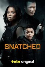 Watch Snatched Megashare