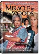 Watch Miracle in the Woods Megashare