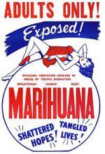 Watch Marihuana Megashare
