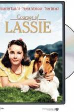 Watch Courage of Lassie Megashare