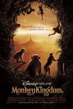 Watch Monkey Kingdom Megashare