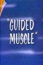 Watch Guided Muscle Megashare