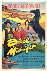 Watch Black Midnight Megashare