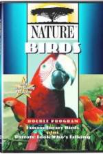 Watch PBS Nature - Extraordinary Birds Megashare