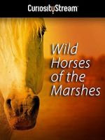 Watch Wild Horses of the Marshes Megashare