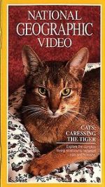 Watch Cats: Caressing the Tiger Megashare