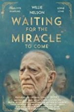 Watch Waiting for the Miracle to Come Megashare