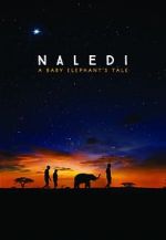 Watch Naledi: A Baby Elephant\'s Tale Megashare