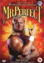 Watch The Life and Times of Mr. Perfect Megashare