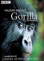Watch Gorilla Revisited with David Attenborough Megashare