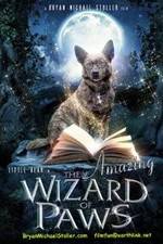 Watch The Amazing Wizard of Paws Megashare