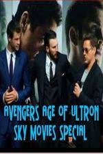 Watch Avengers Age of Ultron Sky Movies Special Megashare