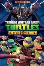 Watch Teenage Mutant Ninja Turtles: Enter Shredder Megashare