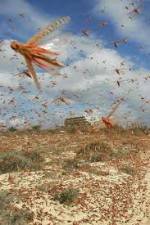 Watch Swarm Chasers: Locusts Megashare