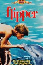 Watch Flipper Megashare