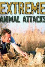 Watch Extreme Animal Attacks Megashare