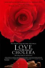 Watch Love in the Time of Cholera Megashare