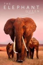 Watch The Elephant Queen Megashare