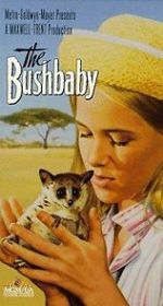 Watch The Bushbaby Megashare