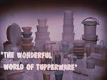 Watch The Wonderful World of Tupperware (Short 1965) Megashare